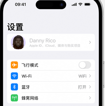 宁波appleID维修服务iPhone设置中Apple ID显示为灰色无法使用 