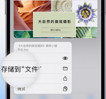 宁波apple维修中心分享iPhone文件应用中存储和找到下载文件