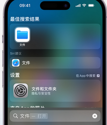 宁波apple维修中心分享iPhone文件应用中存储和找到下载文件