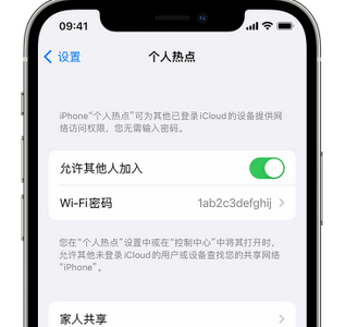 宁波apple服务站点分享iPhone上个人热点丢失了怎么办 