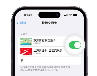 宁波apple维修点分享iPhone上更换Apple Pay快捷交通卡手绘卡面 