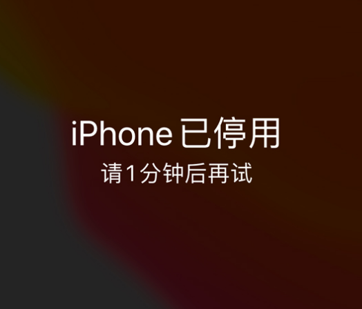 宁波苹果手机维修分享:iPhone 显示“不可用”或“已停用”怎么办？还能保留数据吗？ 