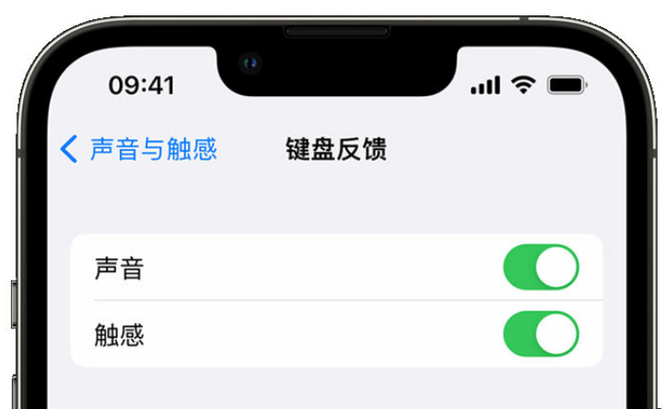 宁波苹果手机维修分享iPhone 14触感键盘使用方法 