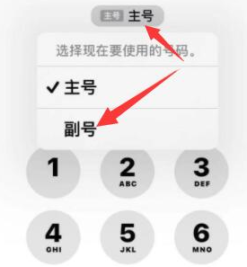 宁波苹果14维修店分享iPhone 14 Pro Max使用副卡打电话的方法 