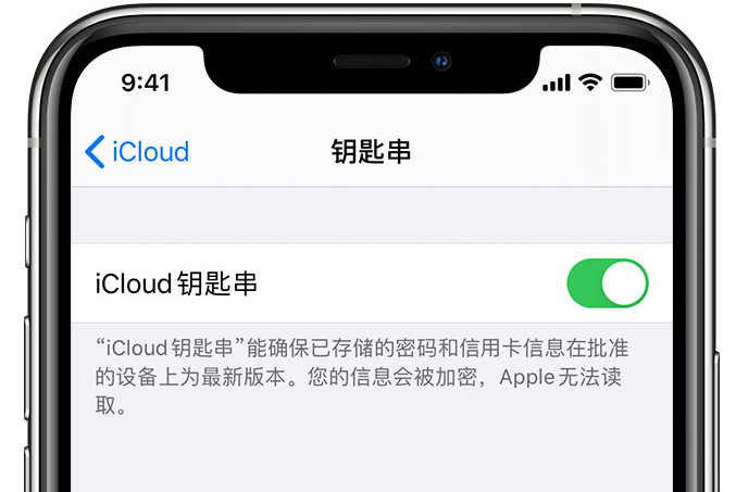 宁波苹果手机维修分享在 iPhone 上开启 iCloud 钥匙串之后会储存哪些信息 