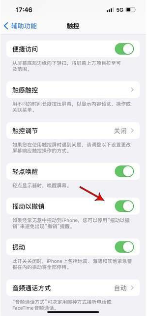 宁波苹果手机维修分享iPhone手机如何设置摇一摇删除文字 